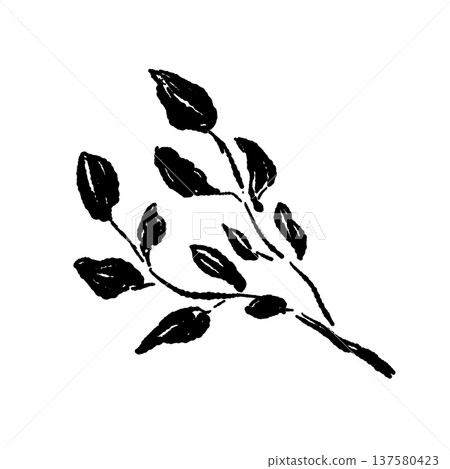 Monochrome silhouette of watercress (herb) Monochrome silhouette of watercress (herb) 137580423