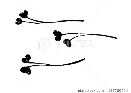 Monochrome silhouette of radish sprouts Monochrome silhouette of radish sprouts 137580434