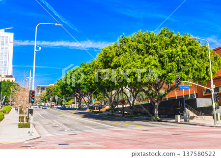 Downtown Los Angeles cityscape Downtown Los Angeles cityscape 137580522