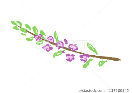 Illustration of shiso (perilla flower) 137580545