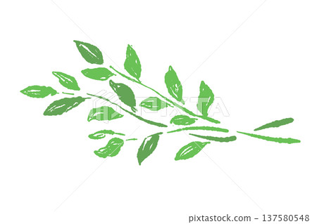 Fresh watercress leaves garnish illustration 137580548