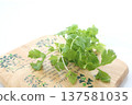 White celery 137581035