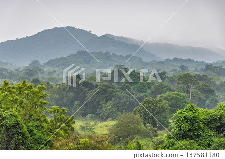 Misty Morning View over a Lush, Verdant Tropical Forest and Rolling Hills, Serene Natural Landscape. Hurulu Eco Park Safari in Sri Lanka. Misty Morning View over a Lush, Verdant Tropical Forest and Rolling Hills, Serene Natural Landscape. Hurulu Eco Park Safari in Sri Lanka. 137581180