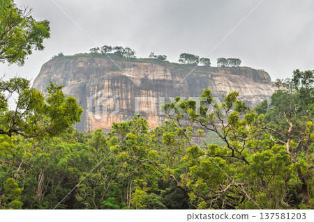 Sigiriya ancient rock fortress in Sri Lanka. Majestic Green Forest Canopy with Towering Flat-Topped Mountain Under Overcast Sky, Serene Tropical Landscape View 137581203
