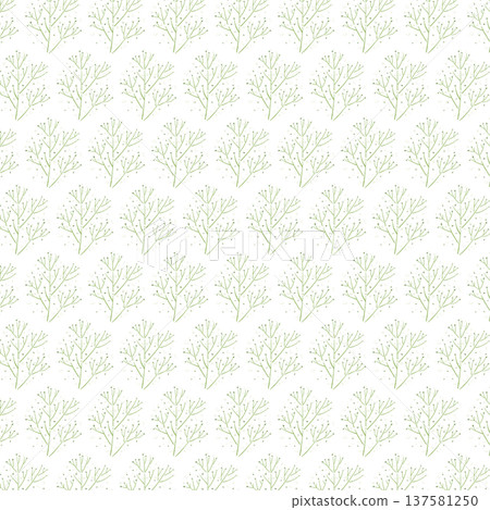 Gypsophila seamless pattern background illustration (with background color) Gypsophila seamless pattern background illustration (with background color) 137581250