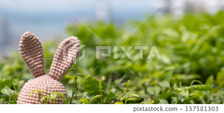 Crochet bunny toy with ears peeking out from green foliage in outdoor setting Crochet bunny toy with ears peeking out from green foliage in outdoor setting 137581303