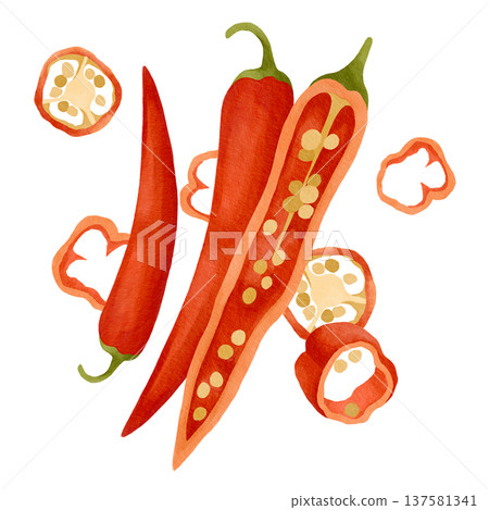 Hand-drawn watercolor hot chili pepper, seeds and sliced pepper ready to use composition for product design or ingredients Hand-drawn watercolor hot chili pepper, seeds and sliced pepper ready to use composition for product design or ingredients 137581341