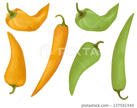 Hand-drawn watercolor fresh peppers collection, chili, ramiro and jalapeno pepper detailed illustrations in green and yellow color 137581348