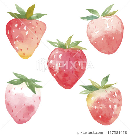 水彩草莓插圖 137581458