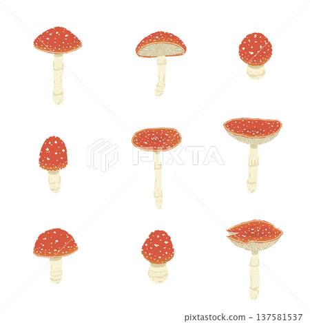 手繪的各種毒蠅傘插圖 手繪的各種毒蠅傘插圖 137581537