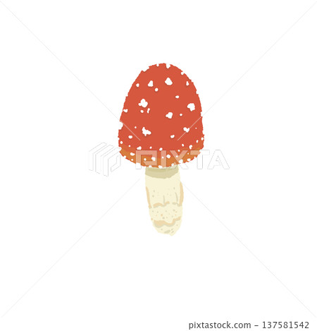 手繪的毒蠅傘插圖(單一、細長的幼嫩真菌) 手繪的毒蠅傘插圖(單一、細長的幼嫩真菌) 137581542
