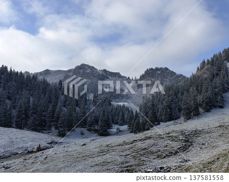 Mountain hiking to Bodenschneid mountain in springtime, Bavaria, Germany 137581558