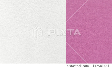 White paper texture two color background with light purple vertical split and copy space for template, banner, presentation White paper texture two color background with light purple vertical split and copy space for template, banner, presentation 137581681