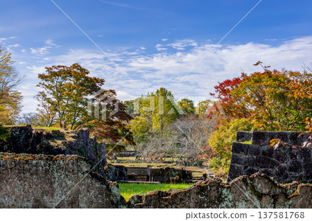 Ishigaki and autumn leaves of Oka castle ruins Ishigaki and autumn leaves of Oka castle ruins 137581768