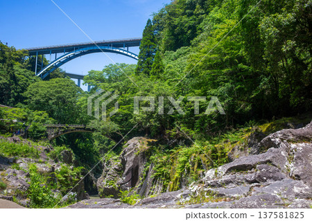 Fresh green Takachiho Gorge Mihashi Bridge 137581825