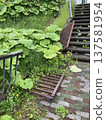 Broken and abandoned iron fence 137581954