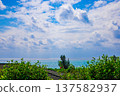 A tropical resort view of the ocean and refreshing blue sky seen through the trees and nature from a hotel on a hill (Miyakojima City, Okinawa Prefecture) 137582937