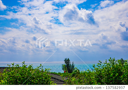 A tropical resort view of the ocean and refreshing blue sky seen through the trees and nature from a hotel on a hill (Miyakojima City, Okinawa Prefecture) A tropical resort view of the ocean and refreshing blue sky seen through the trees and nature from a hotel on a hill (Miyakojima City, Okinawa Prefecture) 137582937