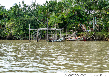 River boat tour on the Guama River 137583462