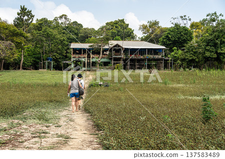 Alter do Chao, Brazil - Dec 17, 2025: Hiking the Sloth Trail in Tapajos National Forest, Amazon jungle, Alter do Chao, Brazil. Alter do Chao, Brazil - Dec 17, 2025: Hiking the Sloth Trail in Tapajos National Forest, Amazon jungle, Alter do Chao, Brazil. 137583489