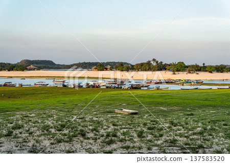 Alter do Chao, Brazil - Dec 21, 2025: The lovely beach of Ilha do Amor in Alter do Chao, Brazil Alter do Chao, Brazil - Dec 21, 2025: The lovely beach of Ilha do Amor in Alter do Chao, Brazil 137583520