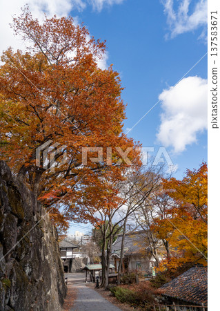 小諸城遺址懷舊花園 小諸城遺址懷舊花園 137583671