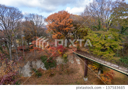 小諸城遺址懷舊花園 小諸城遺址懷舊花園 137583685