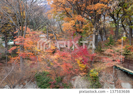 Komoro Castle Ruins Nostalgia Garden 137583686