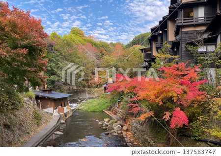 Autumn leaves of Kurokawa Onsen Autumn leaves of Kurokawa Onsen 137583747