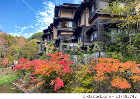 Autumn leaves of Kurokawa Onsen Autumn leaves of Kurokawa Onsen 137583748