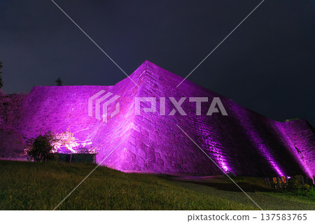 The huge stone walls of the Sendai Castle ruins (Aoba Castle ruins) illuminated in a vibrant purple in Sendai, Miyagi Prefecture The huge stone walls of the Sendai Castle ruins (Aoba Castle ruins) illuminated in a vibrant purple in Sendai, Miyagi Prefecture 137583765