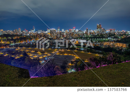 Night view of the Hirose River and Sendai, the City of Trees, from the ruins of Sendai Castle (Aoba Castle), Sendai City, Miyagi Prefecture 137583766