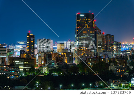 從仙台城（青葉城）遺址眺望夜幕下的廣瀨川和「森林之城」仙台市，宮城縣 137583769