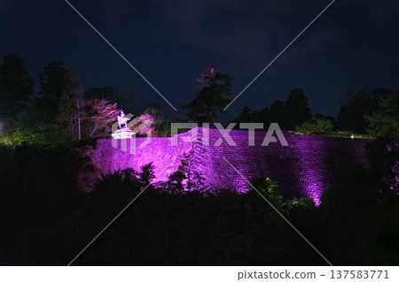 Stone walls of the Sendai Castle ruins (Aoba Castle ruins) lit up in purple in Sendai City, Miyagi Prefecture 137583771