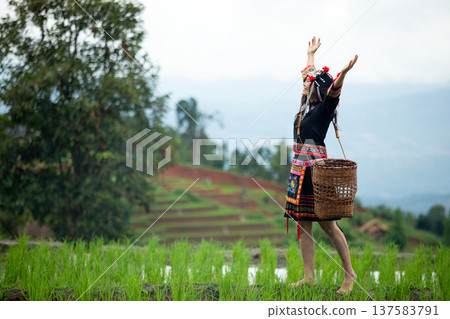 Asian hill tribe woman wearing traditional ethnic costume standing in green rice field with arms raised. Cultural lifestyle in rural mountain village with terraced fields and natural landscape Asian hill tribe woman wearing traditional ethnic costume standing in green rice field with arms raised. Cultural lifestyle in rural mountain village with terraced fields and natural landscape 137583791