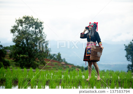 Asian hill tribe woman wearing colorful traditional costume talking on smartphone in green rice field. Rural lifestyle in mountain village with terraced rice fields and cultural heritage concept Asian hill tribe woman wearing colorful traditional costume talking on smartphone in green rice field. Rural lifestyle in mountain village with terraced rice fields and cultural heritage concept 137583794