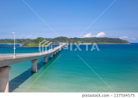 Kakushima Ohashi和藍海 137584575