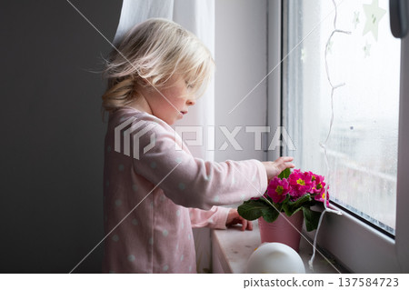 Little 4 Year Old Girl Tending to Houseplant on Windowsill Little 4 Year Old Girl Tending to Houseplant on Windowsill 137584723