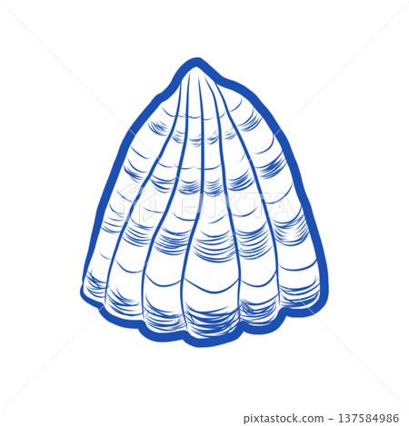 Seashell Flat design. Paper cut design. Seashell Flat design. Paper cut design. 137584986