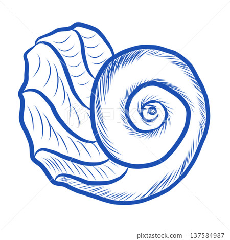 Seashell Flat design. Paper cut design. Seashell Flat design. Paper cut design. 137584987
