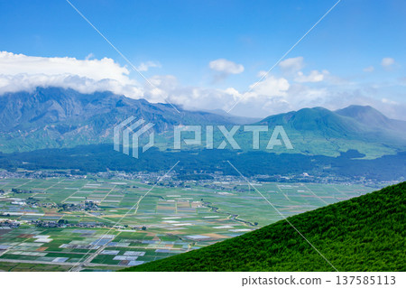 從大觀峰眺望阿蘇平原和阿蘇山 從大觀峰眺望阿蘇平原和阿蘇山 137585113