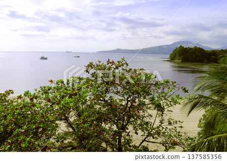 tropical island tropical island 137585356