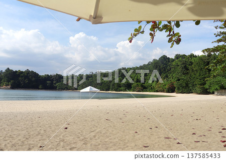 beach umbrellas on the beach 137585433