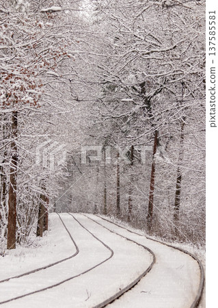 An old tram moving through a winter forest An old tram moving through a winter forest 137585581
