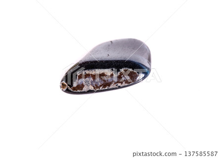 Macro mineral stone Falcon eye on a white background Macro mineral stone Falcon eye on a white background 137585587