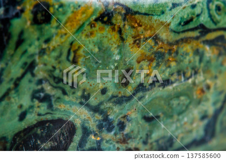 Macro mineral stone jasper kambaba on a white background Macro mineral stone jasper kambaba on a white background 137585600
