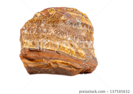Macro mineral stone Tiger's eye in the breed on a white background Macro mineral stone Tiger's eye in the breed on a white background 137585632