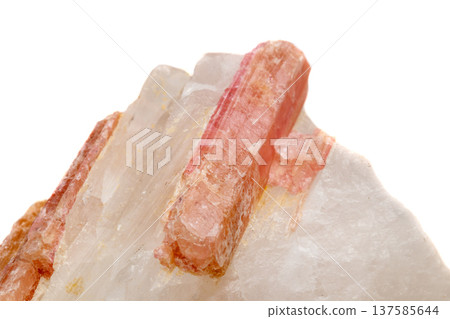 Macro mineral stone Tourmaline in the breed a white background 137585644