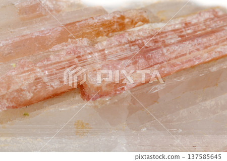 Macro mineral stone Tourmaline in the breed a white background 137585645