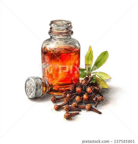 Clove oil bottle with cloves and green leaves on a white background 137585801